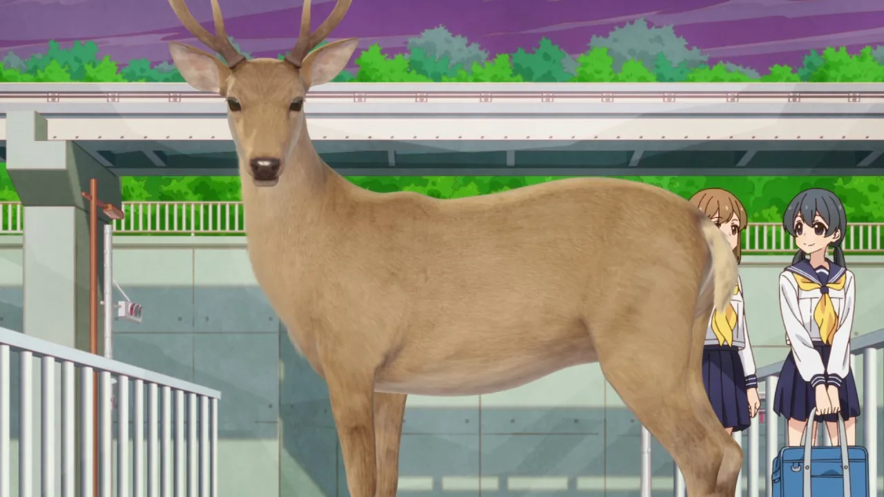 My Deer Friend Nokotan