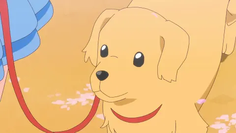 Кадр 2 из аниме «Хорошенькое лекарство: Ты и идол»