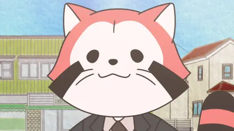 Raccoon Calcal Force still 2