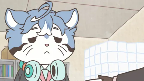 Raccoon Calcal Force still 5