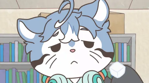 Raccoon Calcal Force still 6