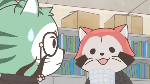 Raccoon Calcal Force still 7