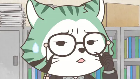 Raccoon Calcal Force still 8