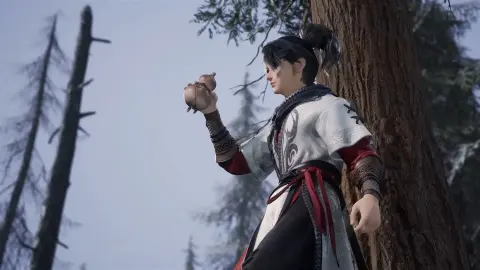 The Destiny Ruler still 4