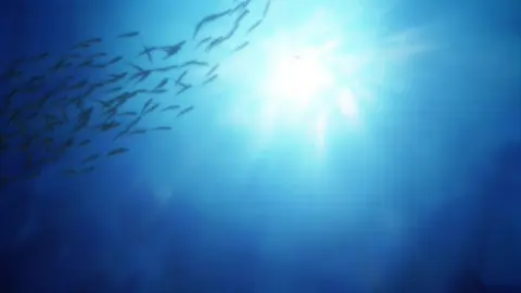 Umi Monogatari still 2