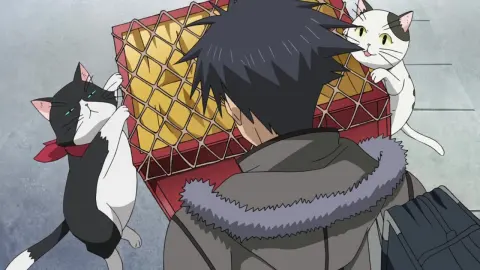 Nyan Koi! still 9