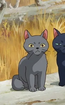 Gib