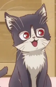 Hachi