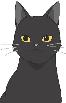 Aoi
