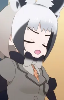 Bat-Eared Fox