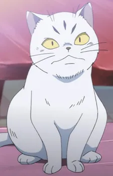 Nekomodoki