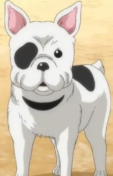 Boo