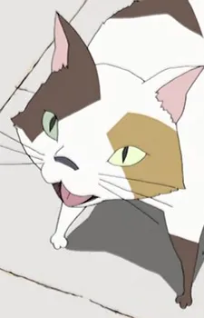 The Wind Cat