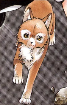 Inuki