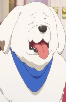 Chibi