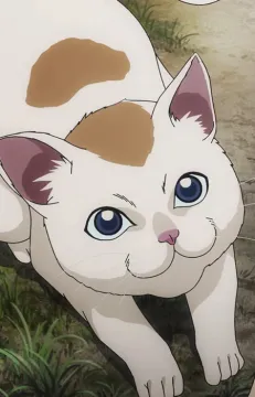 Корон