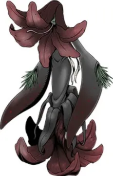 Alraumon
