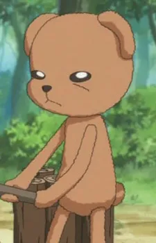 Mr. Bear